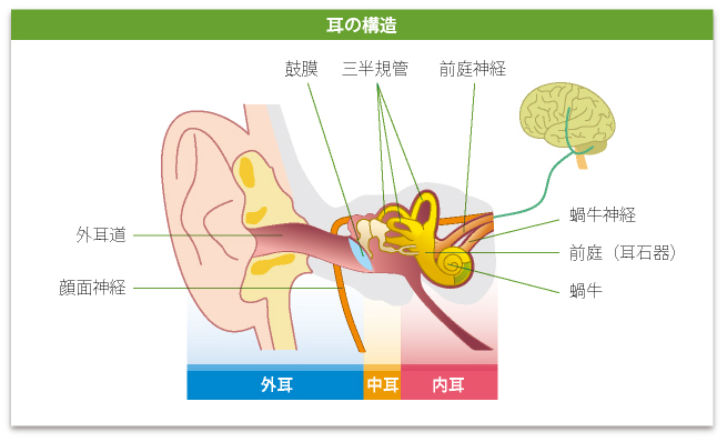 高野賢一